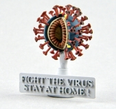 COVID-19 (Coronavirus SARS-CoV-2) COVID-19 (Coronavirus SARS-CoV-2)