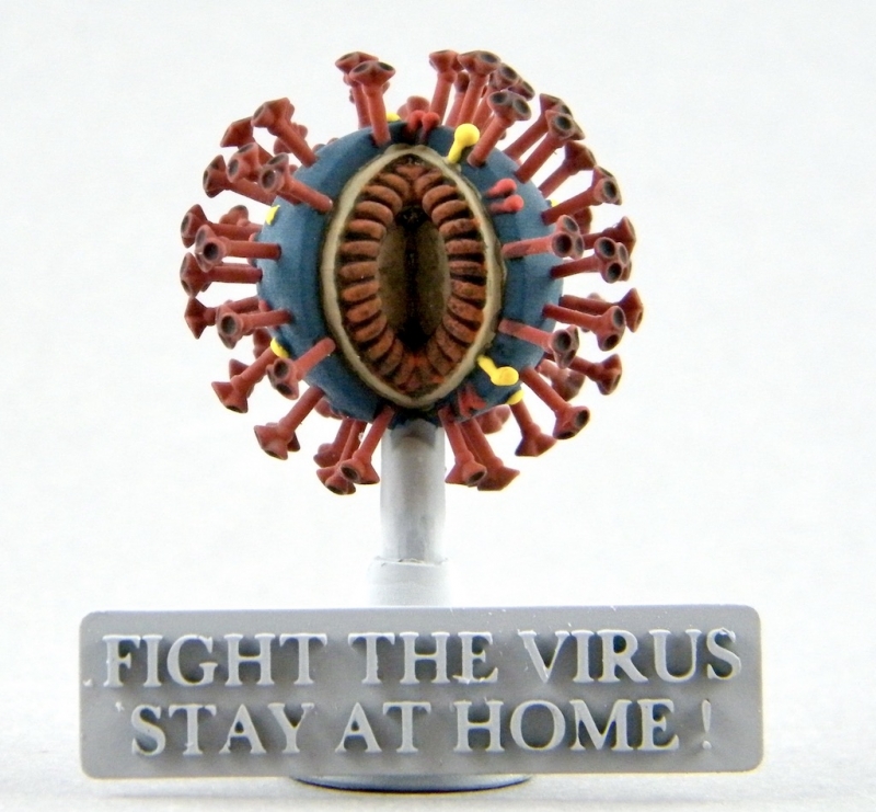 COVID-19 (Coronavirus SARS-CoV-2) COVID-19 (Coronavirus SARS-CoV-2)