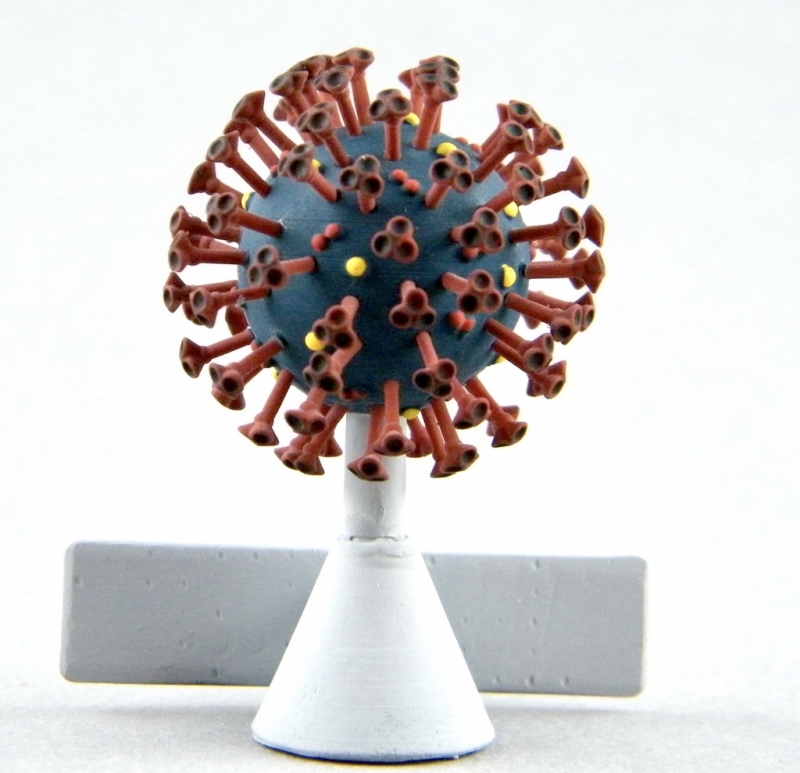 COVID-19 (Coronavirus SARS-CoV-2) COVID-19 (Coronavirus SARS-CoV-2)